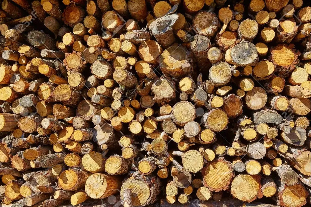 Leña Seca Eucaliptus 1 Saco x 15Kg